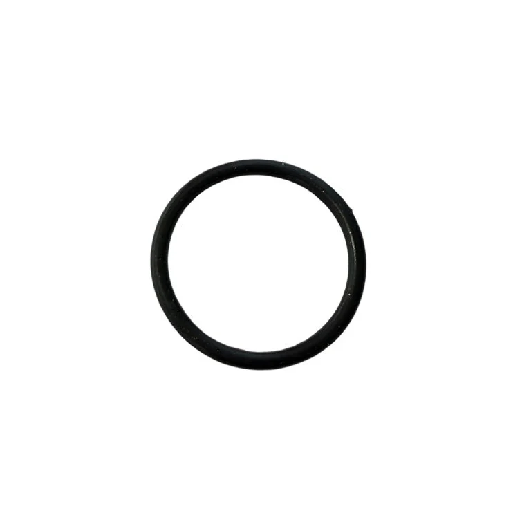 Storm Bee Swingarm O-Ring