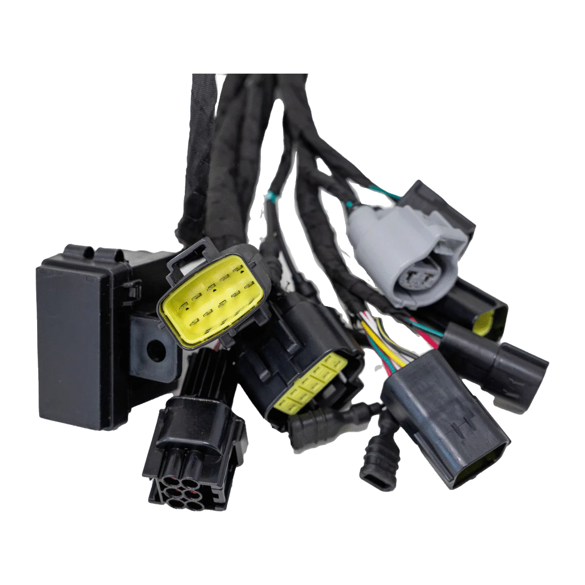 Ultra Bee Main Wire Harness - Image 3