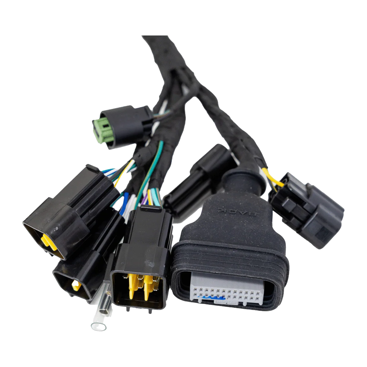 Ultra Bee Main Wire Harness - Image 4