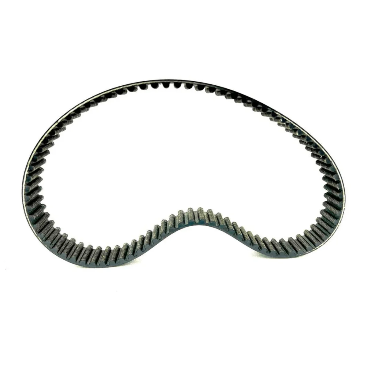 Ultra Bee Primary Belt (2024 - Continental) - Image 2