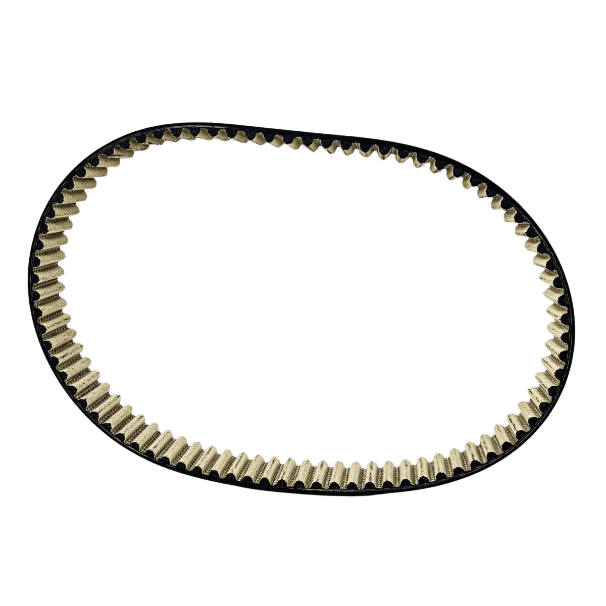 Ultra Bee Primary Belt (2025 - Dayco) - Image 2
